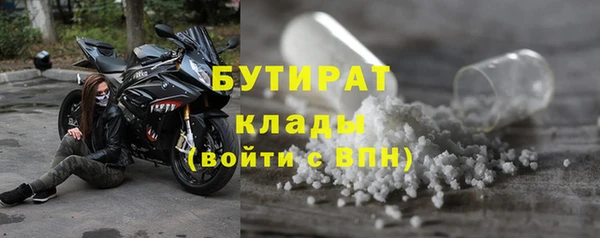 ГАЛЛЮЦИНОГЕННЫЕ ГРИБЫ Липки
