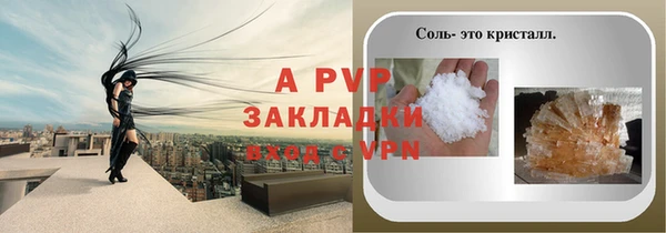 индика Лихославль
