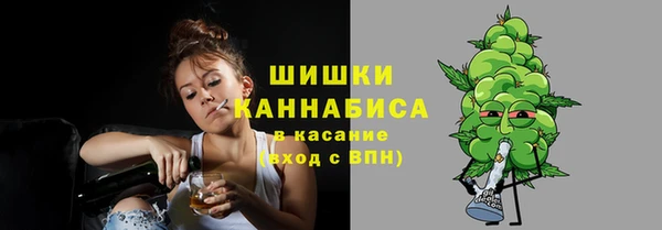 ГАЛЛЮЦИНОГЕННЫЕ ГРИБЫ Липки
