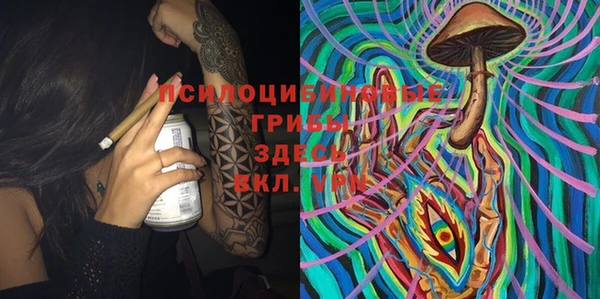 индика Лихославль