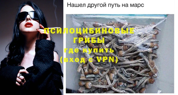 индика Лихославль