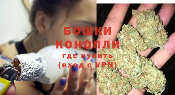 индика Лихославль