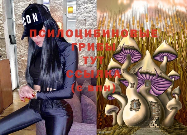 индика Лихославль