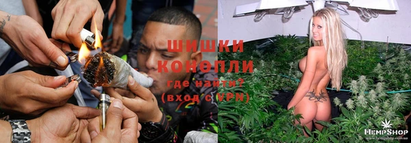 тгк Ладушкин