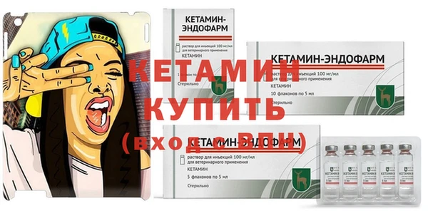 ГАЛЛЮЦИНОГЕННЫЕ ГРИБЫ Липки