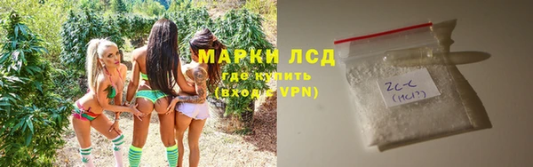 индика Лихославль