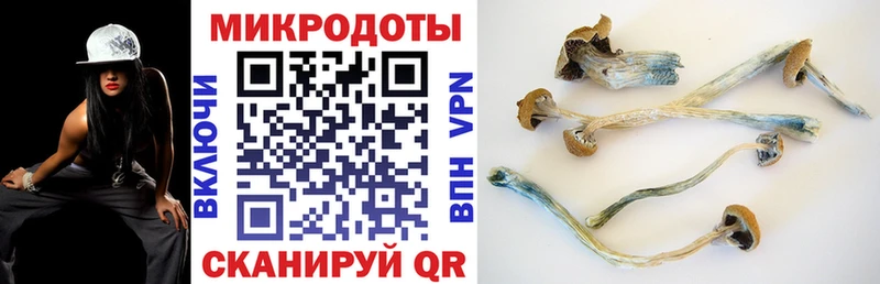 дарк нет какой сайт магазин Приморско-Ахтарск Галлюциногенные грибы GOLDEN TEACHER
