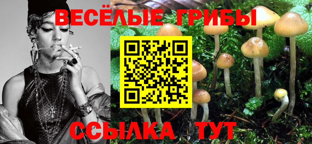 Галлюциногенные грибы прущие грибы  Вход с VPN  Приморско-Ахтарск 